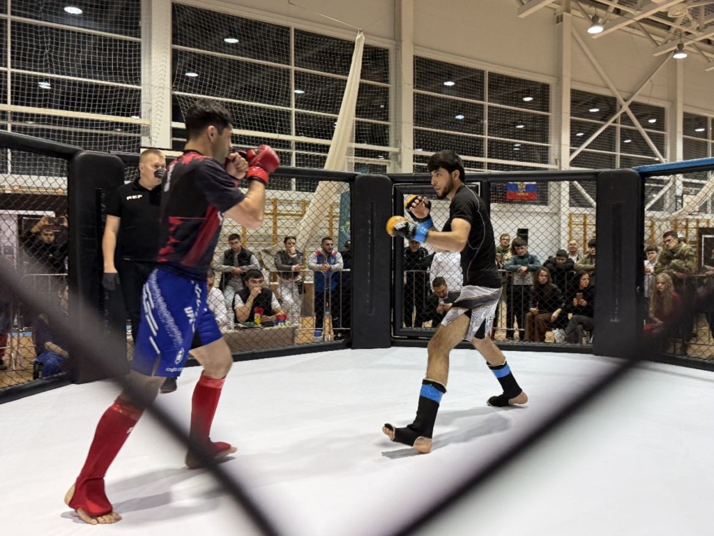 Более 100 бойцов примут участие в турнире по единоборствам в Шатуре