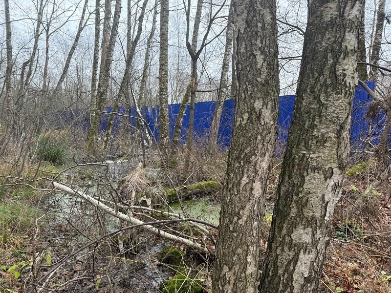 Эко-детектив в Химках: как остановили сброс сточных вод с канализационной станции