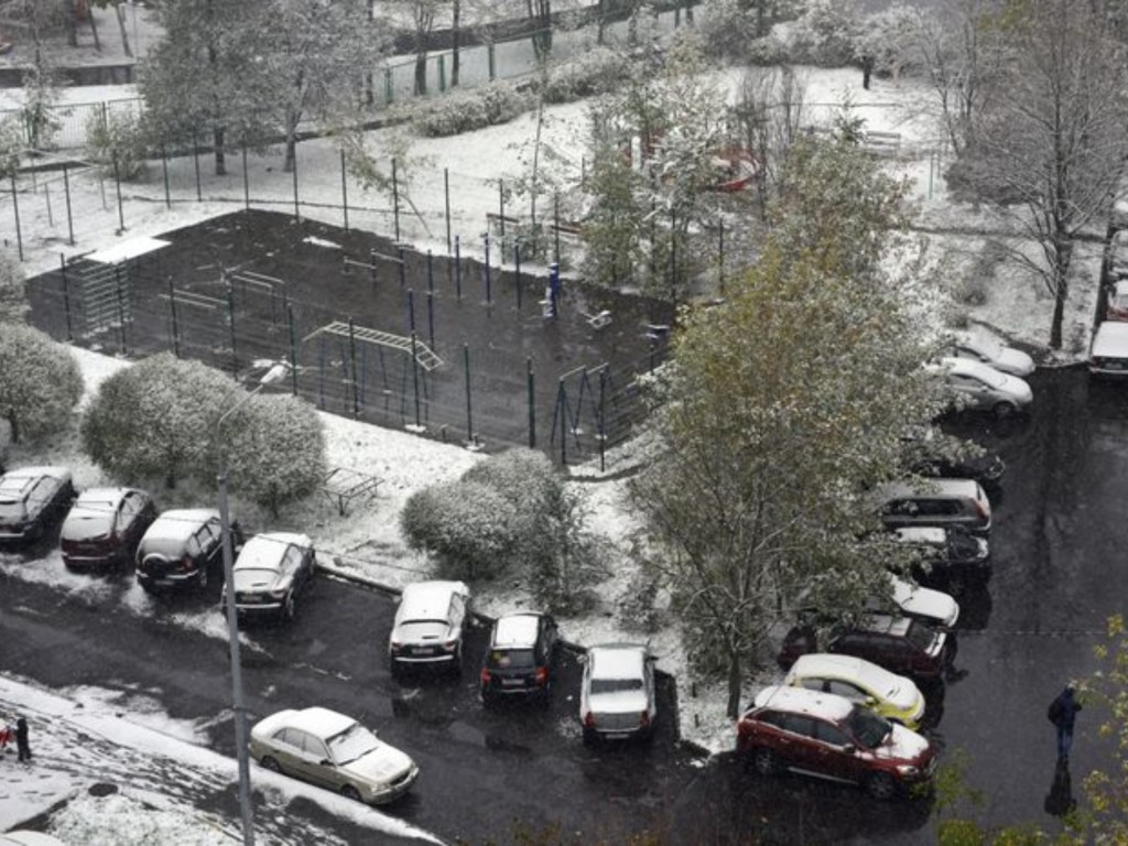 Первый зимний штрих: мокрый снег осел в Москве и Подмосковье