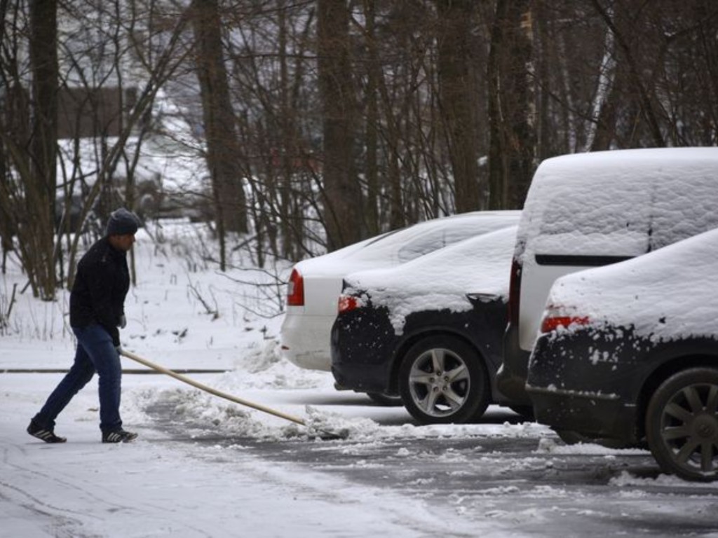 «Сугробы по колено»: в первый день метеорологической зимы в Подмосковье выпадет снег