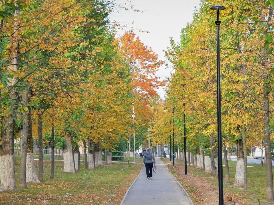 Зима даже не близко: какой будет погода в первую неделю ноября в Подмосковье