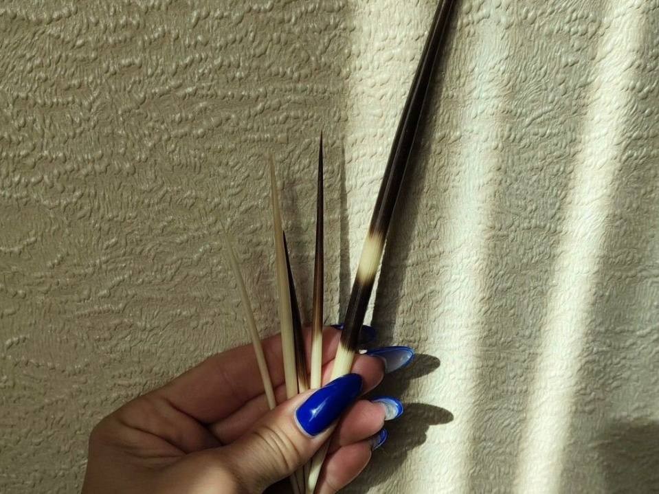 Жительница Солнечногорска продает иглы дикобраза