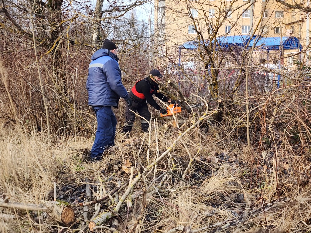 На Окружном проезде убрали дерево, упавшее из-за порывистого ветра