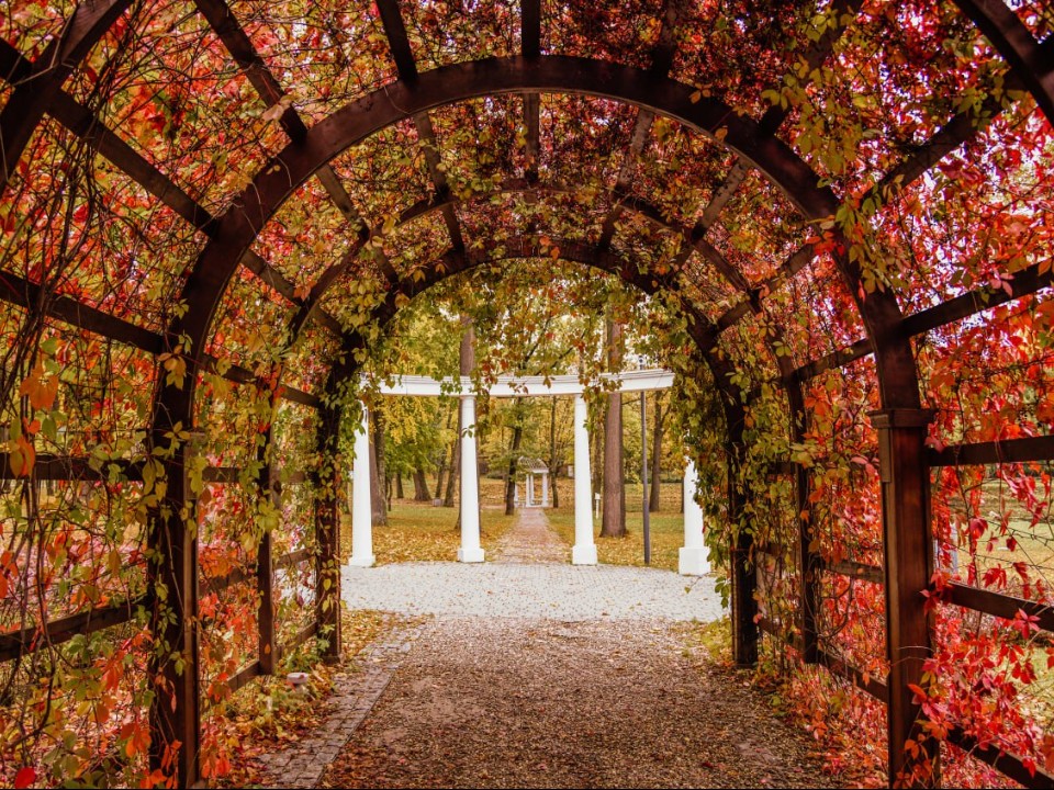 Праздники без шапки и перчаток: когда в Подмосковье ждать ноябрьского потепления до +10