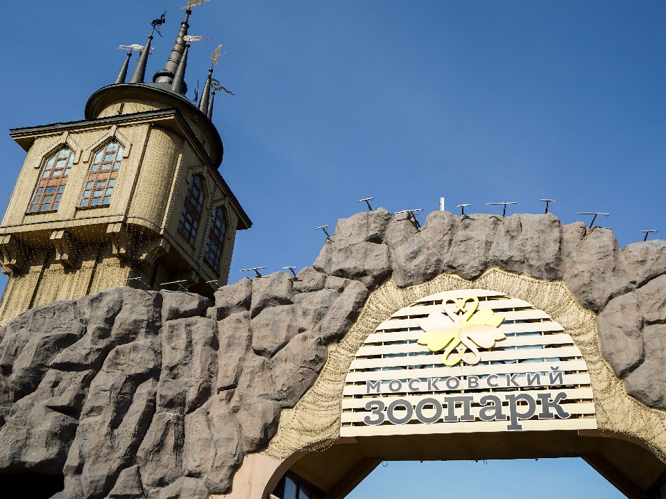 Животные в Московском зоопарке могут впадать в депрессию: как отсутствие посетителей влияет на их состояние