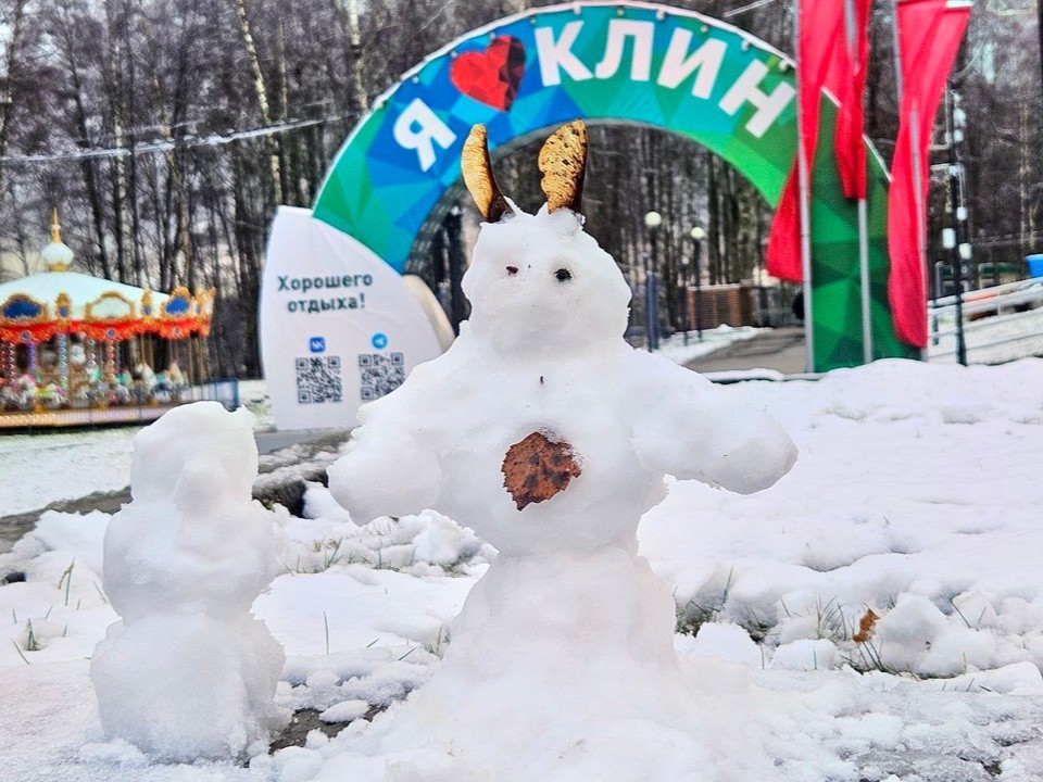 Сестрорецкий парк в Клину «захватили» снеговики