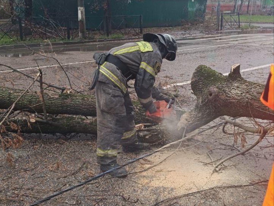 Операция «Расчистка»: как в Люберцах пожарные за несколько минут восстановили движение на дороге, заблокированной упавшим деревом