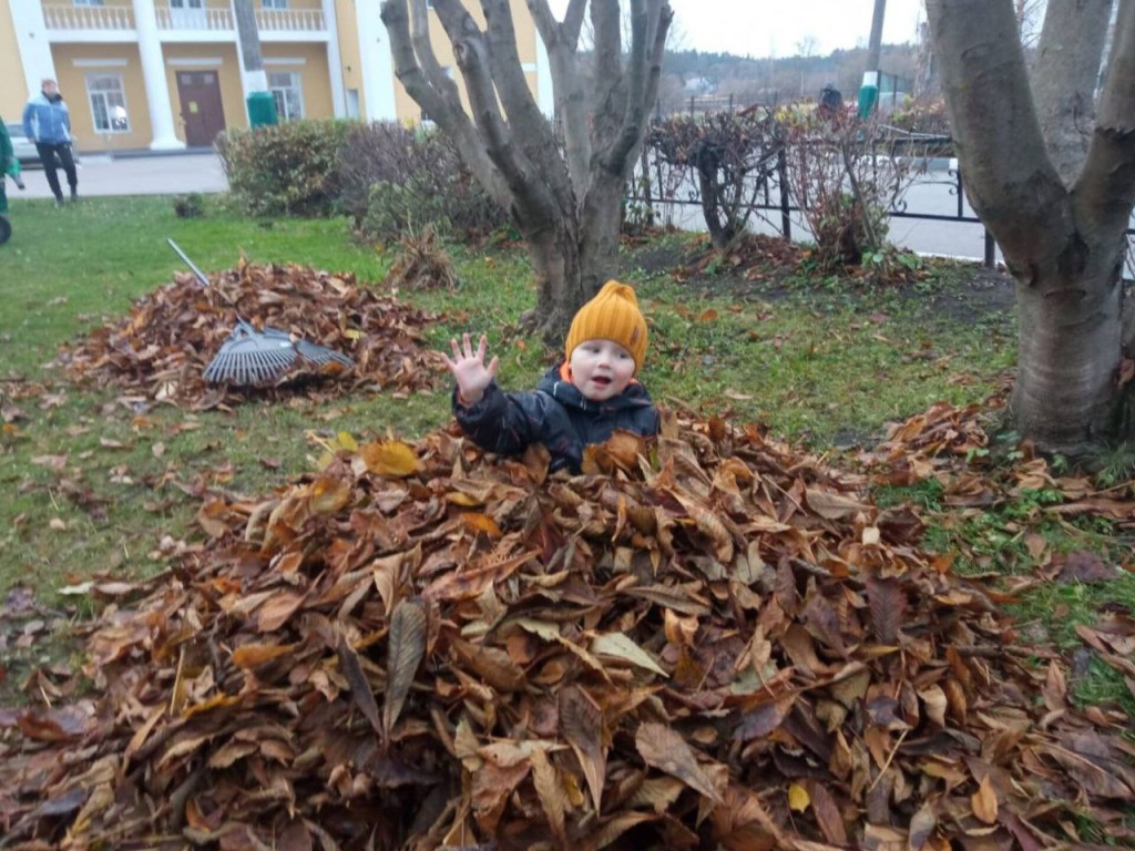 Эко-игры, квесты и развлекательные битвы на свежем воздухе: лучшие мероприятия в парках Талдома 12 ноября