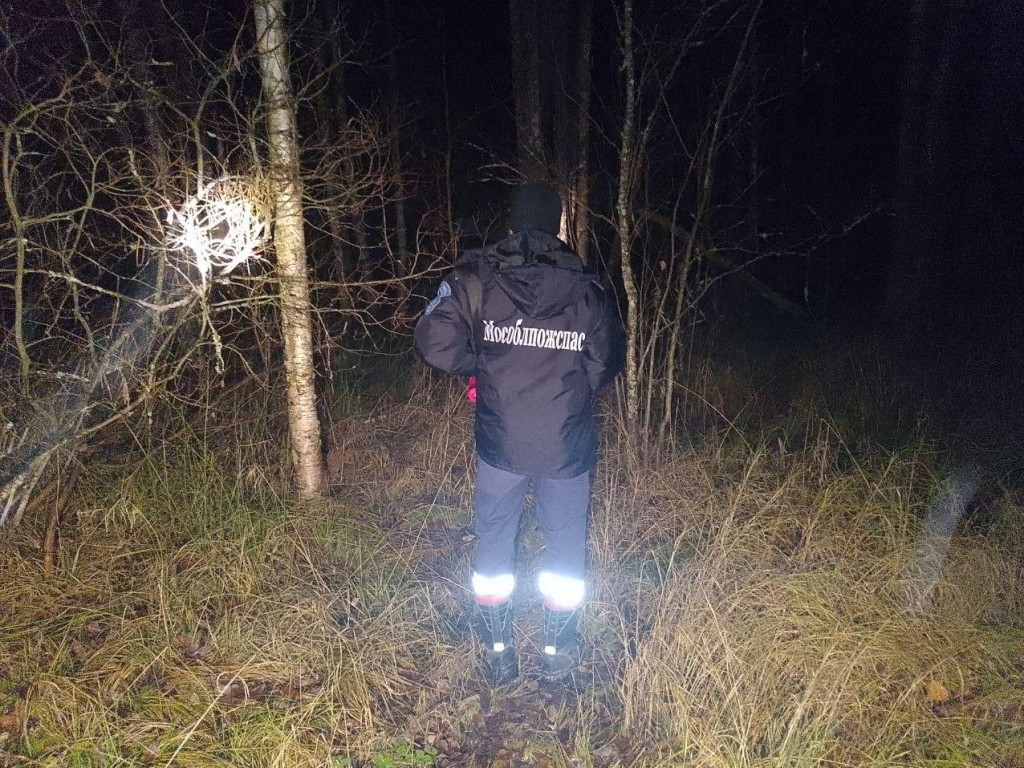 Спасатели вывели из леса Сергиево-Посадского округа заблудившуюся пенсионерку