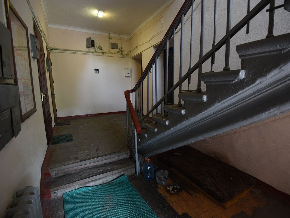 Это привлекает грызунов: названы эффективные способы защиты дома от мышей