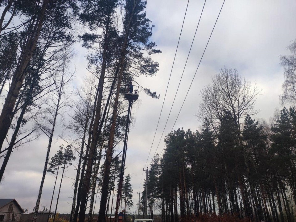 «Зеленая угроза» под контролем: как в Раменском обезопасили линии электропередачи