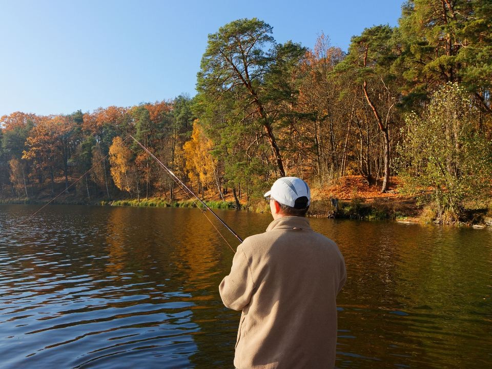 Выше нормы на шесть градусов: синоптик спрогнозировал аномальное тепло в Подмосковье в эти дни