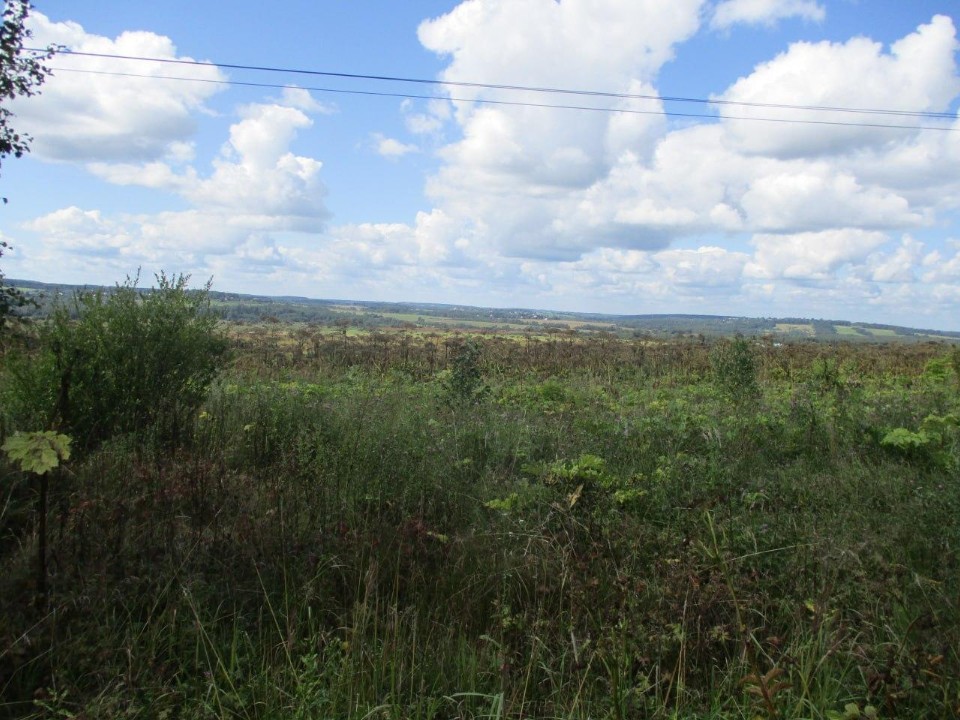 Земля ждет хозяина: в Клину возвращают в оборот 100 гектаров брошенной земли