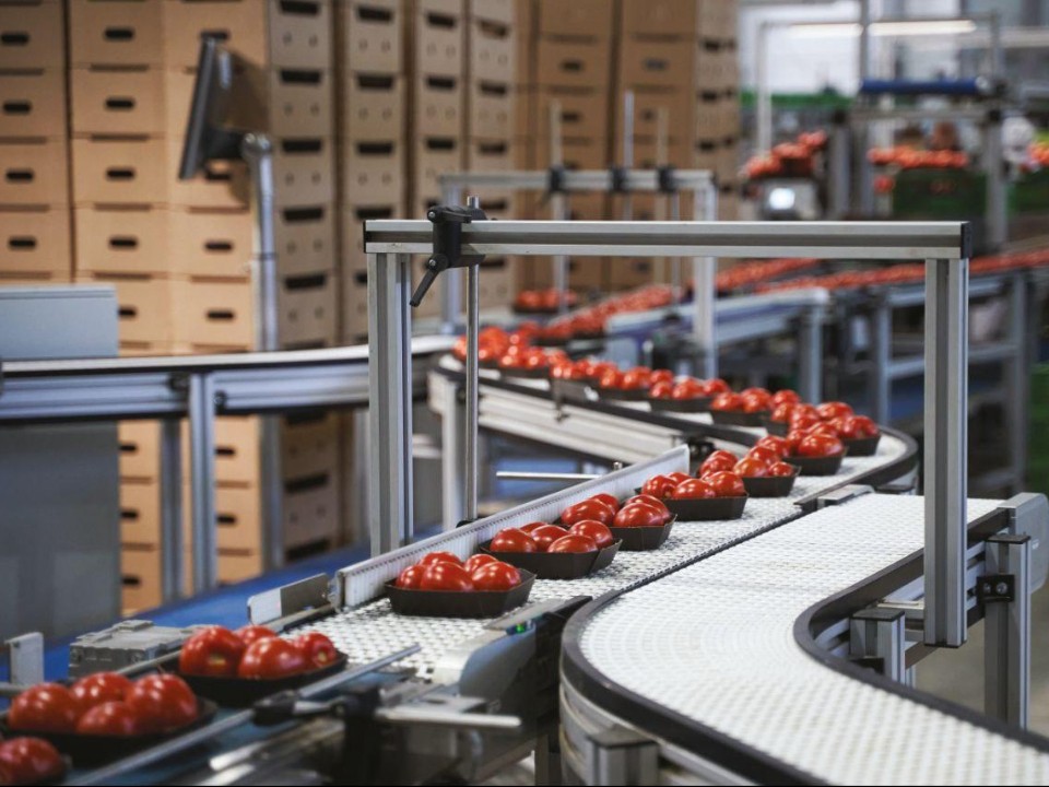 Доверие, которое не купить: какие подмосковные продукты признаны «Маркой № 1 в России»