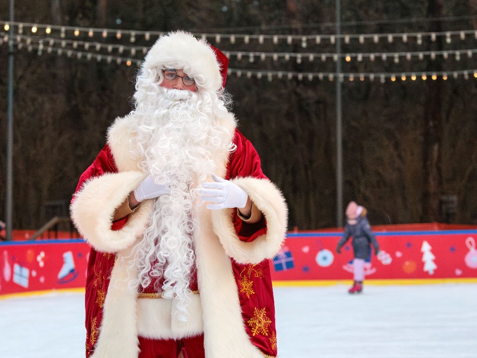 От «Госуслуг» до ФНС: как легализовать сезонную работу Дедом Морозом