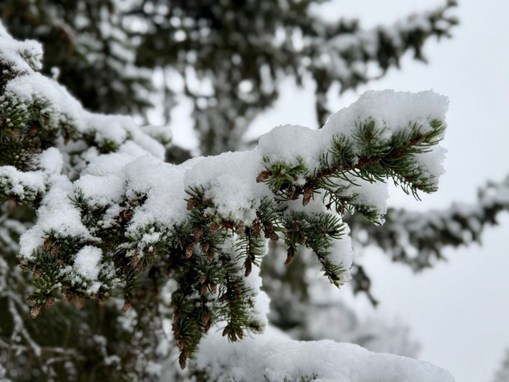 Секреты предков на Григорьев день: что нужно сделать 30 ноября, чтобы год был счастливым и удачным