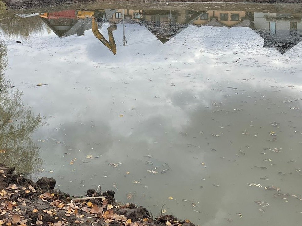 Какой водоем в Домодедове очистят следующим: жители могут решить сами