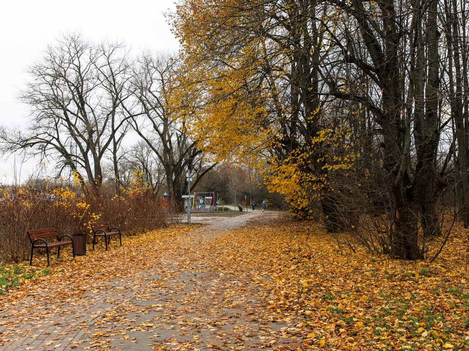 Синоптики назвали день, когда температура в Подмосковье обрушится с осенних цифр до зимних