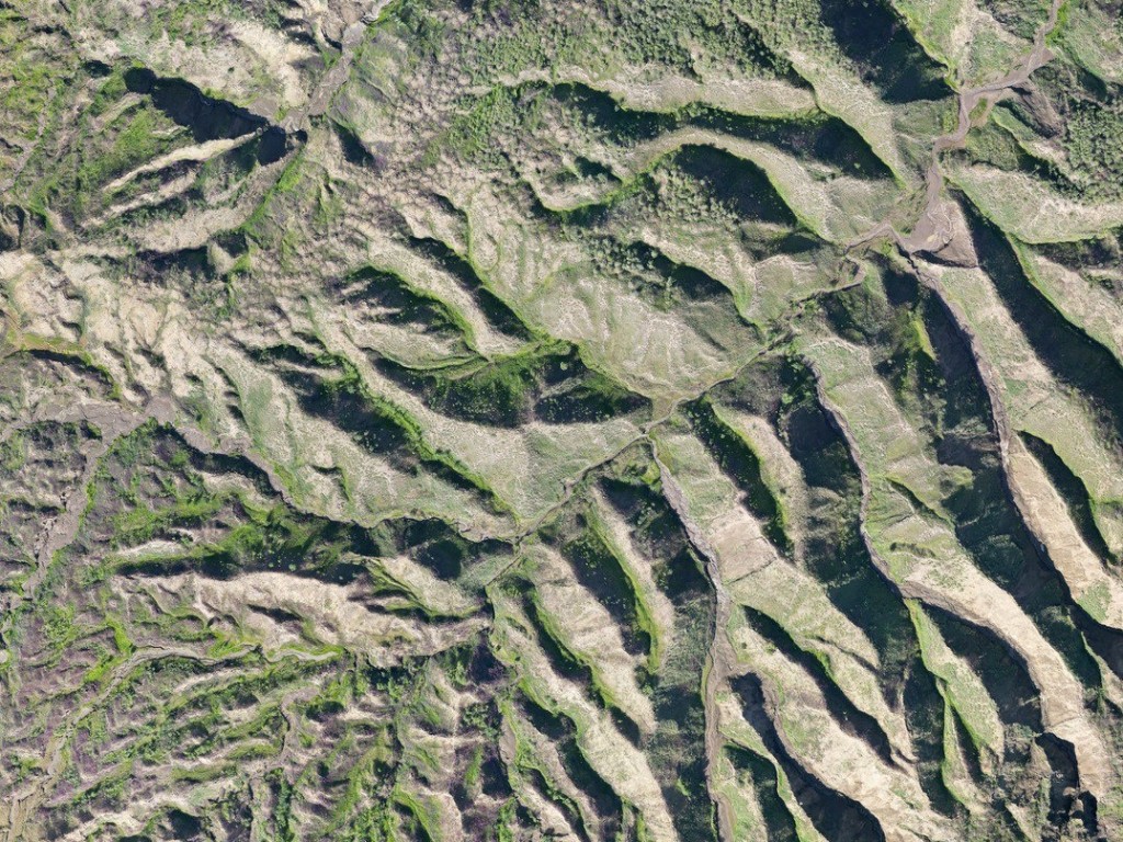 «Плейстоценовый хаки»: ученые из Пущина «открыли» еще один новый цвет