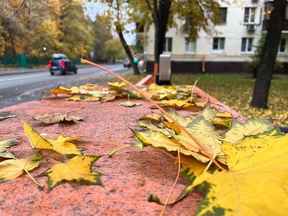 Синоптики назвали день, когда температура в Подмосковье упадет почти до нуля градусов