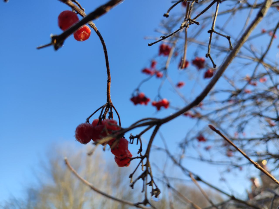 Октябрь возвращается? Синоптик пообещал новую волну тепла до +7° и дожди в Подмосковье