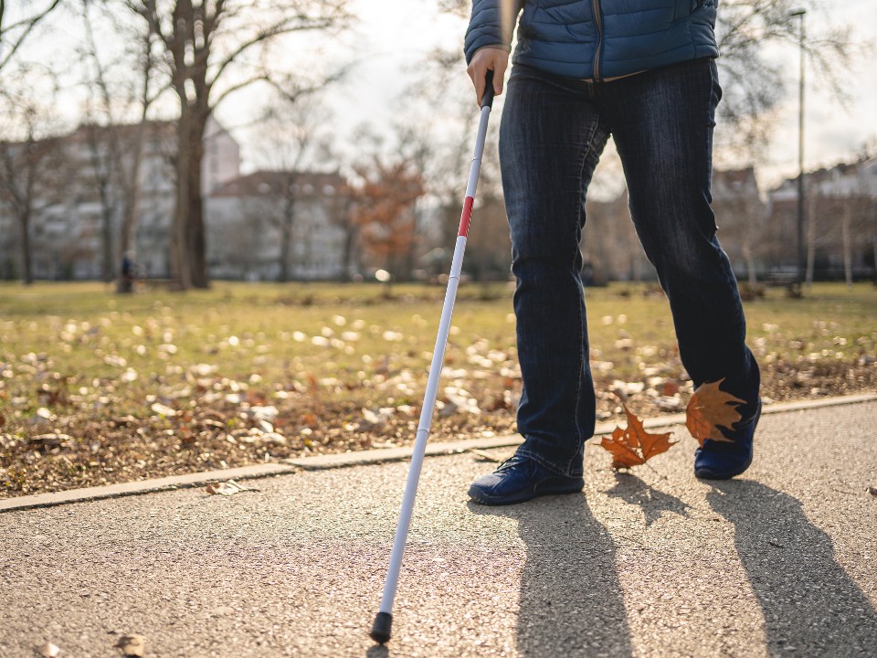 Международный день слепых 13 ноября 2025 года: история, традиции и важные факты