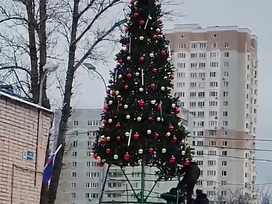 В Одинцове у ДК «Солнечный» установили одну из первых новогодних елок округа