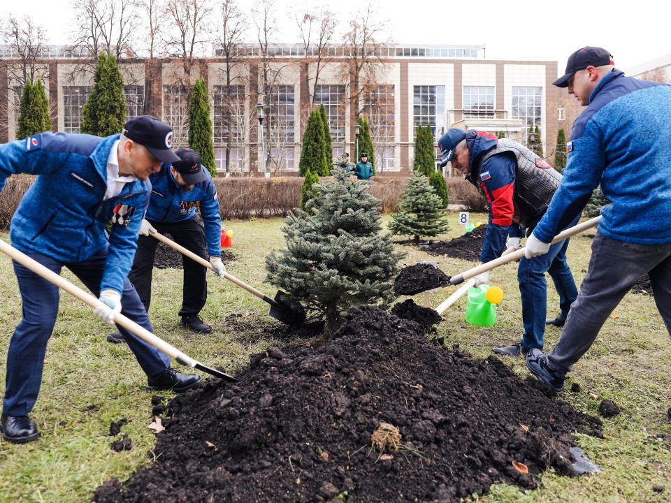 Деревья для героев: почему новую Аллею Славы в Химках открыли рядом с истребителем Ла-5