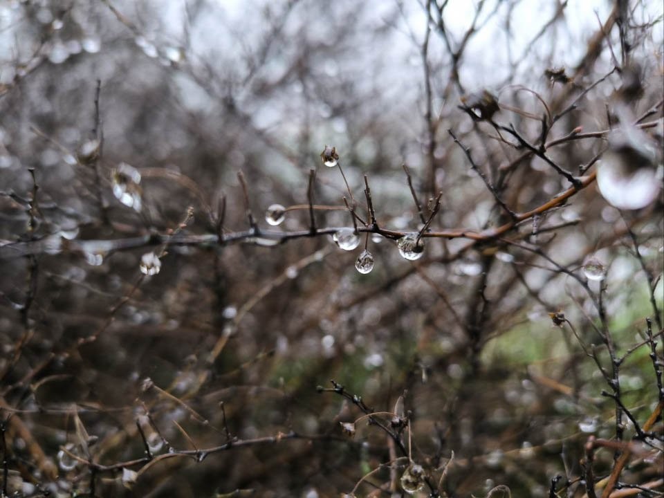 Синоптики предупреждают о «сюрпризах» погоды на выходных в Подмосковье