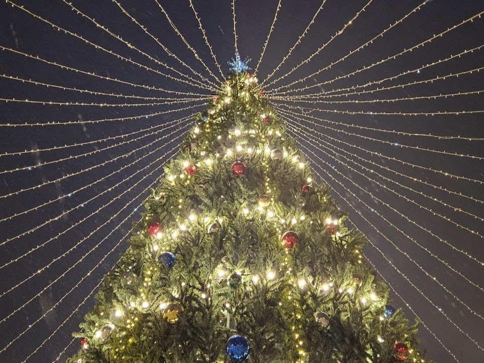 Елка у ДК, «Жар-птица» и «Сердце»: чем украсят Жуковский к Новому году