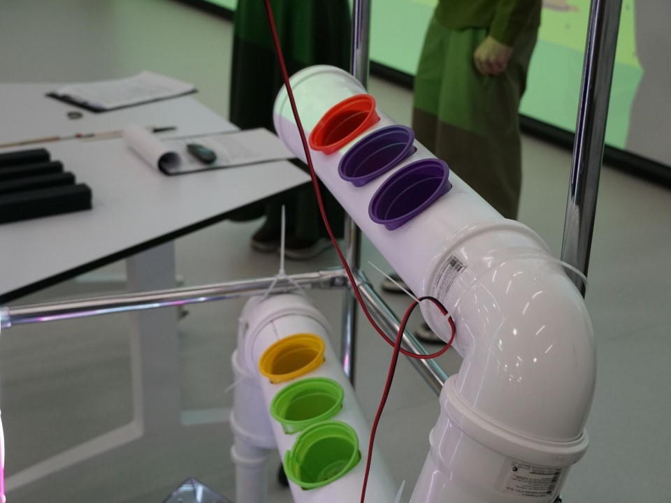 Овощи без огорода: в Пушкино придумали, как выращивать зелень круглый год