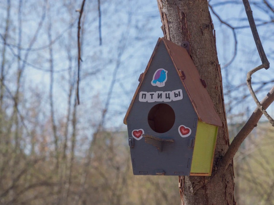 Синичкин день и осенний движ: бесплатный досуг для жителей подготовили парки Орехово-Зуева