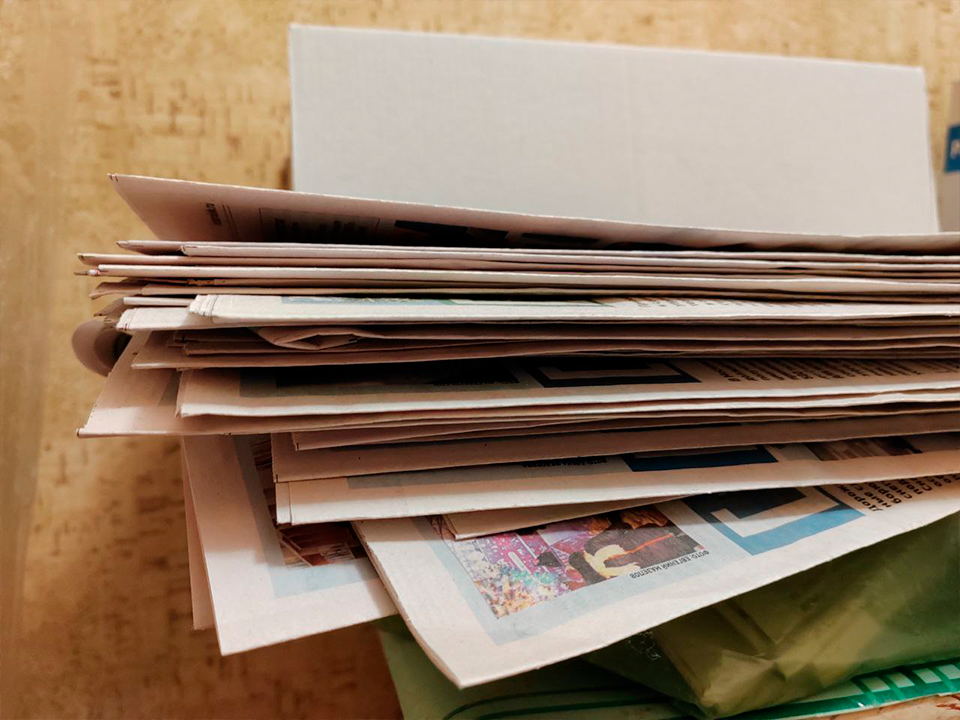 Зарайцев призвали присоединиться к экологической акции «V Единстве Zа Победу»