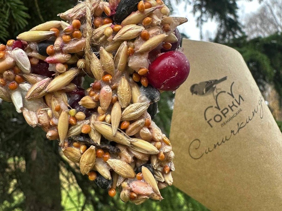 Смотритель Северного флигеля в Горках Ленинских раздаст посетителям съедобные кормушки для птиц