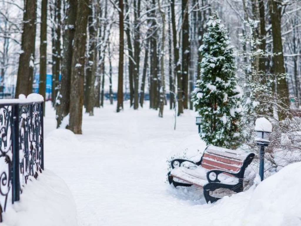 Сколько сантиметров снега выпадет в первый день зимы в Подмосковье, рассказал синоптик Ильин