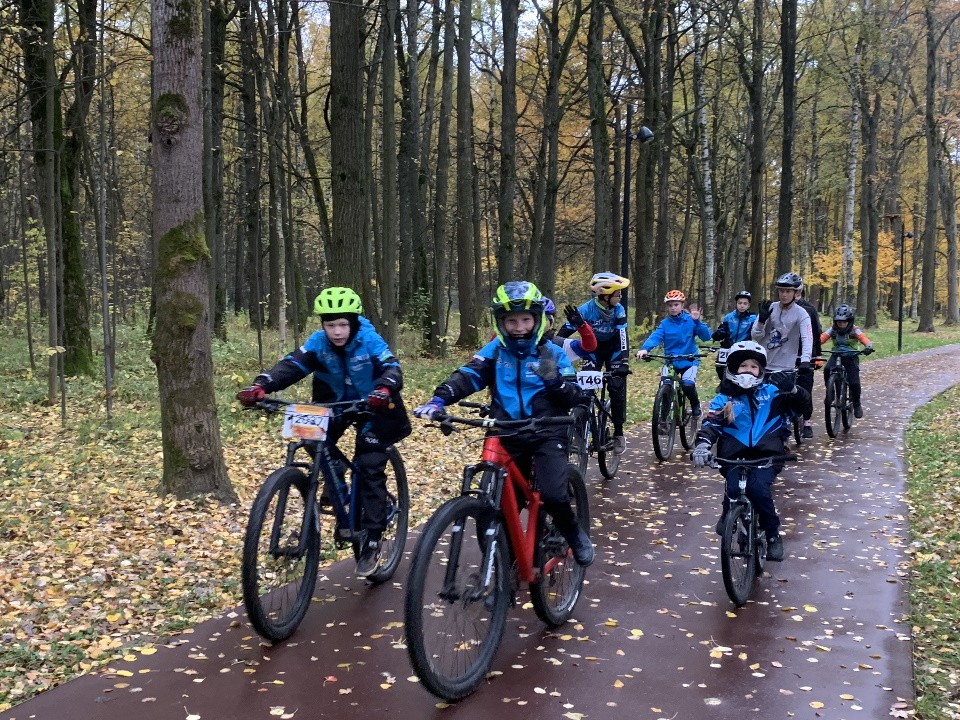 Викторины и спортивные игры пройдут в Лосино-Петровском парке