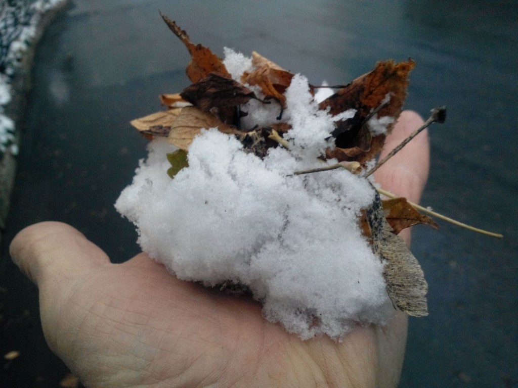 Сильнейший снегопад обрушится на Подмосковье в субботу