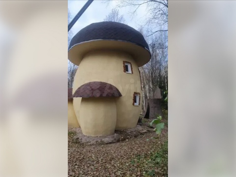 Дом-гриб в сказочном лесу продают под Электроуглями за 20,5 млн рублей