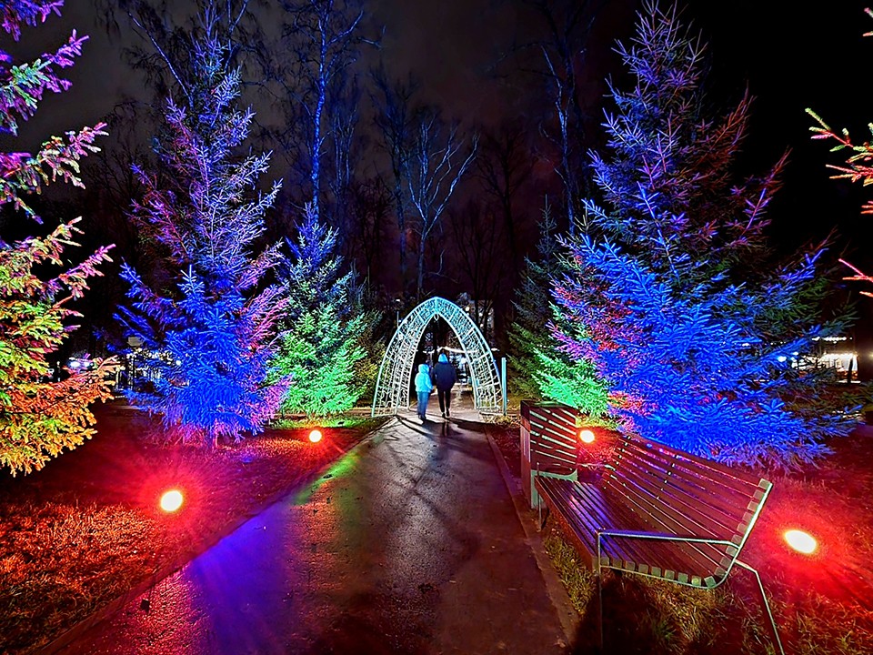 Еловая аллея засияет снизу: в парке Островского раскрыли секреты украшений к Новому году