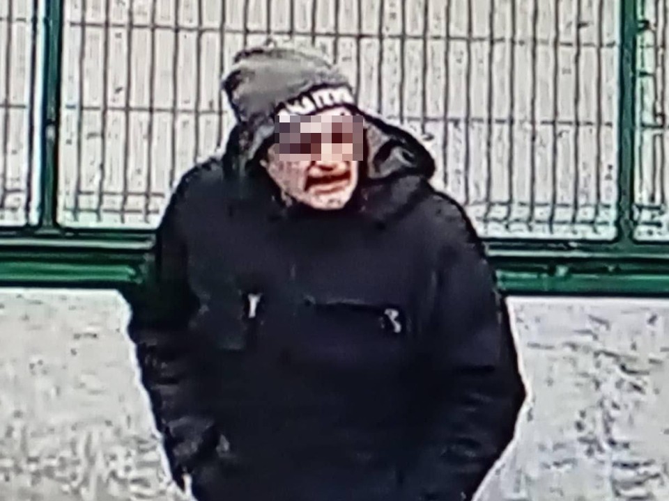 «Они будут продолжать»: семью иностранцев заподозрили в вылове собак для еды в Щербинке