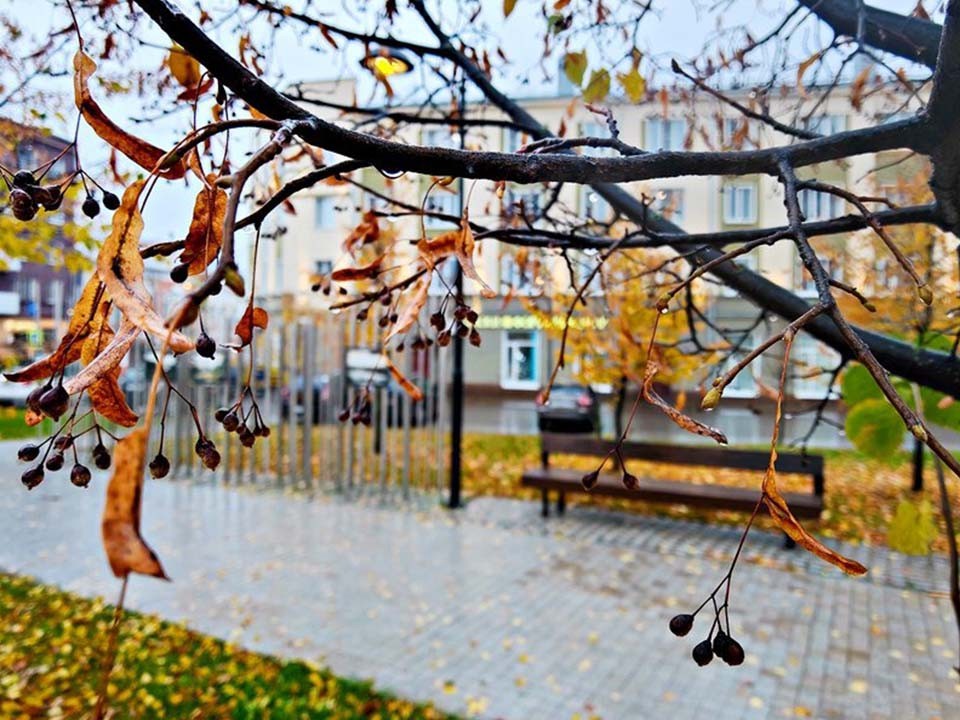 Тепло до +10 или дождь: какая погода будет в Шаховской