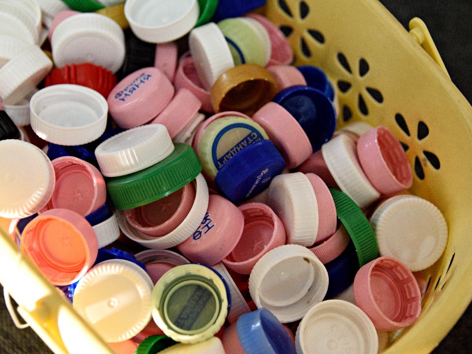 Маленькое село — большое дело: как жители Хомяково спасают планету прямо у себя дома