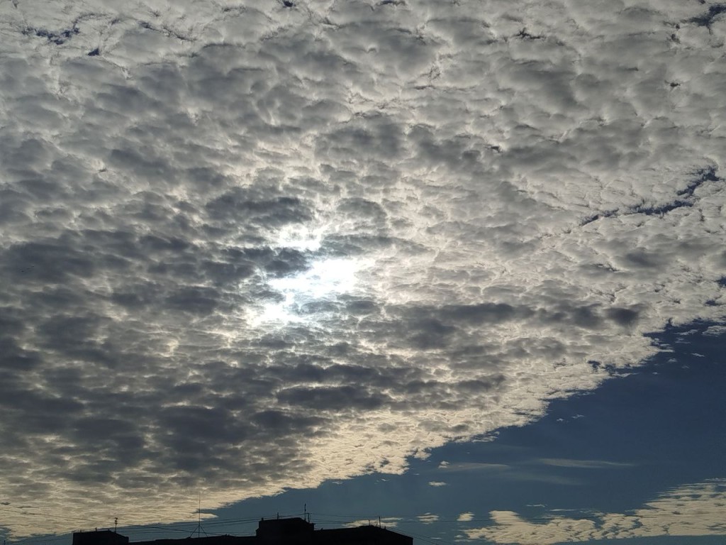 Если погода на Дмитриеву субботу будет такой, ждите позднюю и мягкую зиму