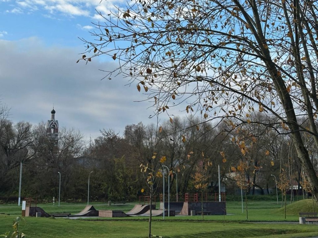 Открытая тренировка с профессиональным тренером пройдет в парке «Бронницкий луг»