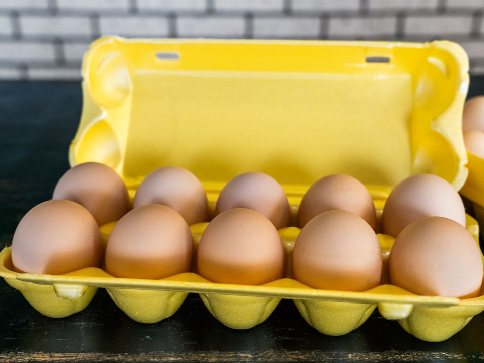 Новый комплекс в Кашире обеспечит 70% производства яиц в Подмосковье