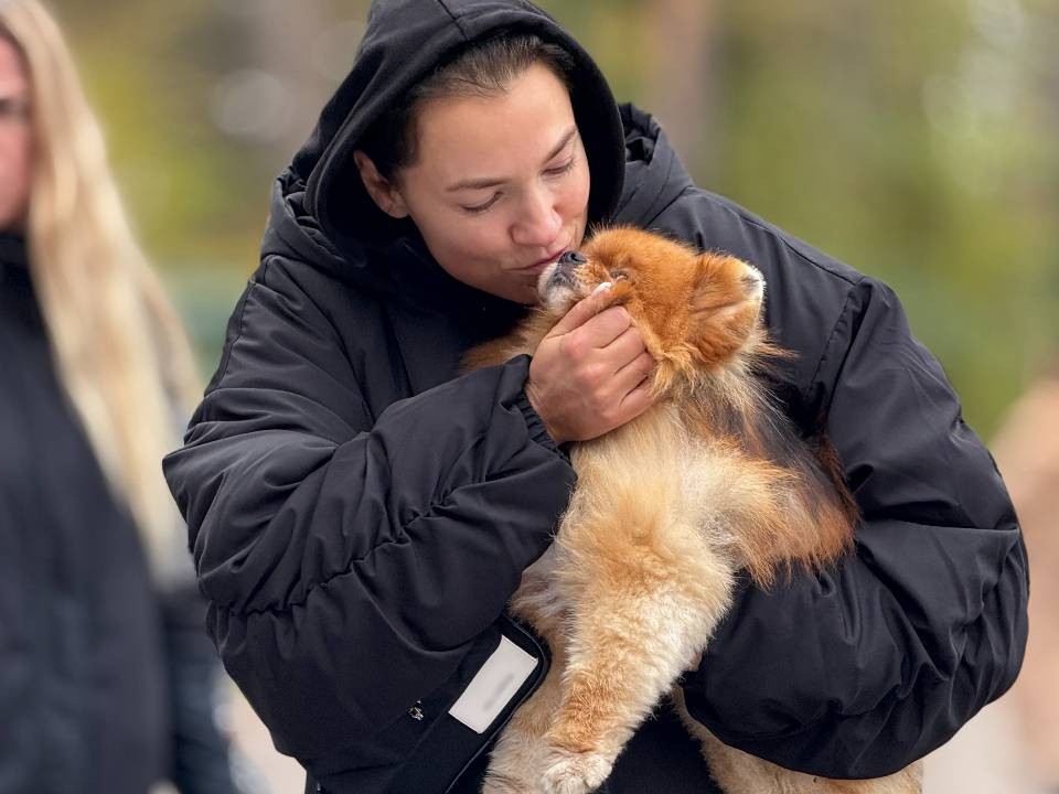 Подольчане могут зарегистрировать своих питомцев онлайн: что будет, если этого не сделать