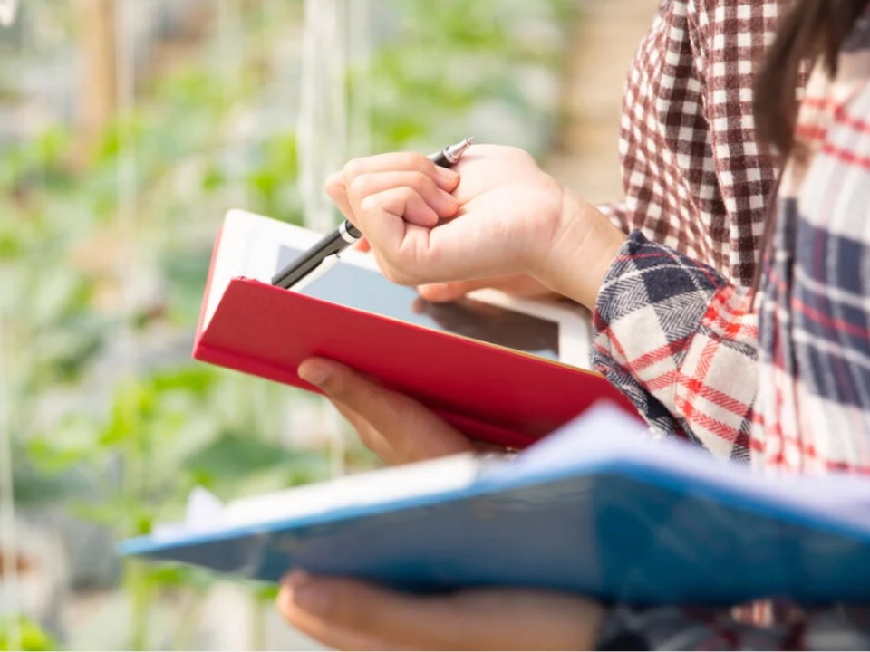 Первые шаги в большой агросфере: где школьникам и студентам Подмосковья получить навыки для работы в АПК