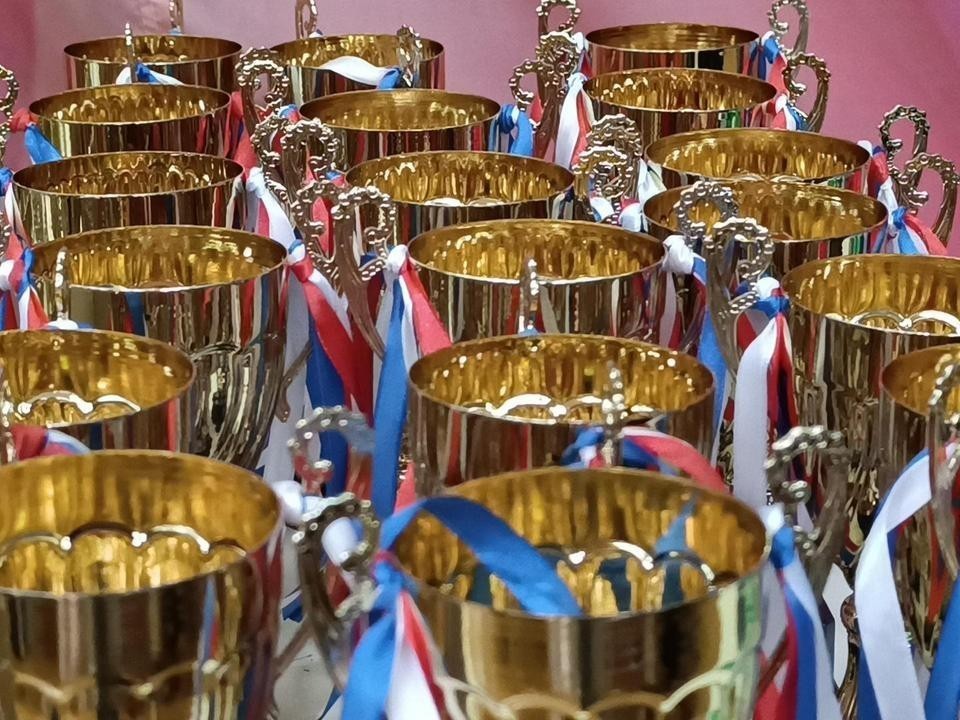 Спортсмены из Домодедова достигли высших ступеней в универсальном бое