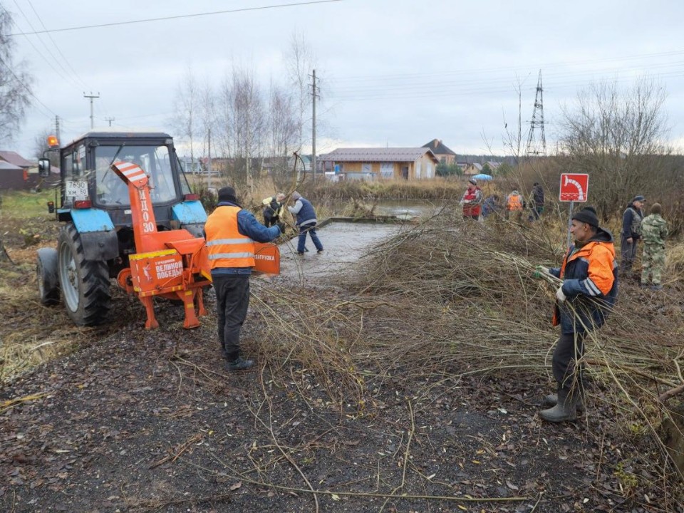 «Не сидели и не ждали»: жителей деревни Зубачево поблагодарили за очистку территории