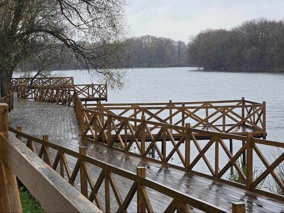 Осень в Коломне: местные жители дали совет, где погулять на ноябрьских выходных